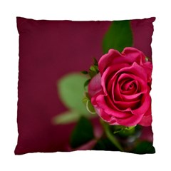 Rose 693152 1920 Standard Cushion Case (two Sides) by vintage2030