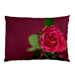 Rose 693152 1920 Pillow Case by vintage2030