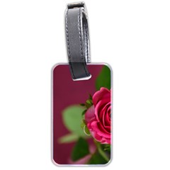 Rose 693152 1920 Luggage Tags (two Sides) by vintage2030