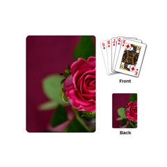 Rose 693152 1920 Playing Cards (mini) by vintage2030