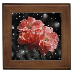 Rose 572757 1920 Framed Tiles by vintage2030