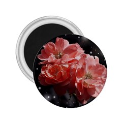 Rose 572757 1920 2 25  Magnets by vintage2030