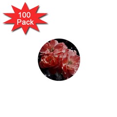 Rose 572757 1920 1  Mini Buttons (100 Pack)  by vintage2030