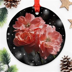 Rose 572757 1920 Round Ornament (two Sides) by vintage2030