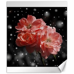 Rose 572757 1920 Canvas 20  X 24  by vintage2030