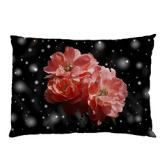 Rose 572757 1920 Pillow Case by vintage2030