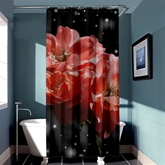 Rose 572757 1920 Shower Curtain 36  X 72  (stall)  by vintage2030