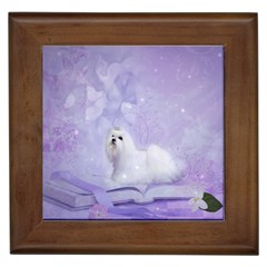 Cute Little Maltese, Soft Colors Framed Tiles by FantasyWorld7