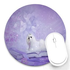 Cute Little Maltese, Soft Colors Round Mousepads by FantasyWorld7