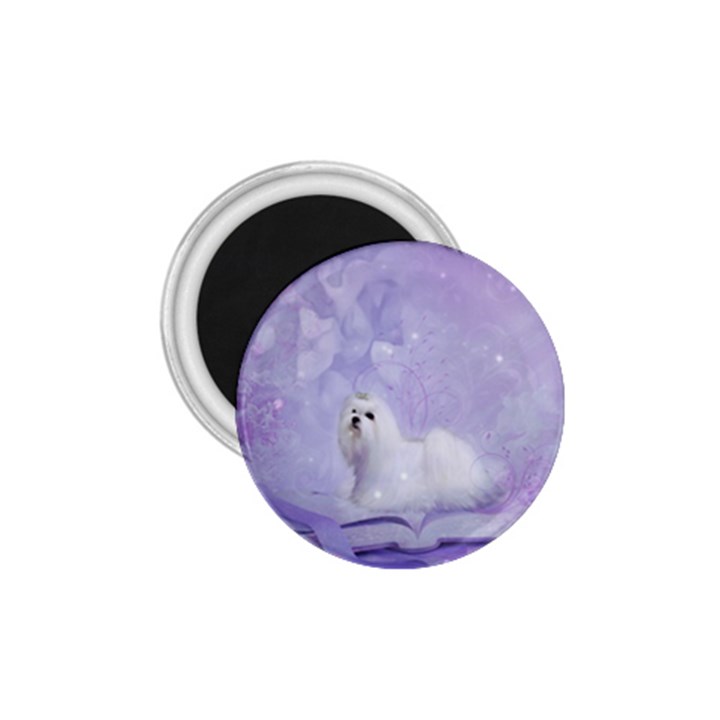 Cute Little Maltese, Soft Colors 1.75  Magnets