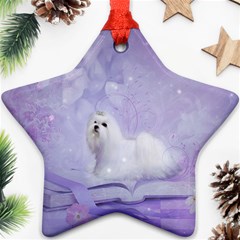 Cute Little Maltese, Soft Colors Ornament (star) by FantasyWorld7