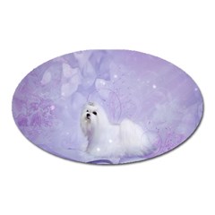 Cute Little Maltese, Soft Colors Oval Magnet by FantasyWorld7