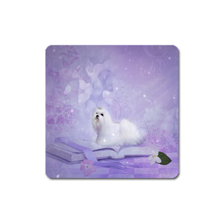 Cute Little Maltese, Soft Colors Square Magnet