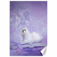 Cute Little Maltese, Soft Colors Canvas 12  X 18  by FantasyWorld7