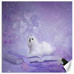 Cute Little Maltese, Soft Colors Canvas 20  X 20  by FantasyWorld7