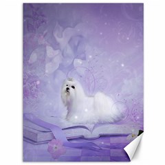 Cute Little Maltese, Soft Colors Canvas 36  X 48  by FantasyWorld7