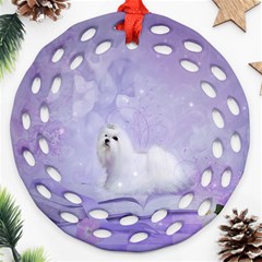 Cute Little Maltese, Soft Colors Ornament (round Filigree) by FantasyWorld7