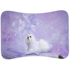 Cute Little Maltese, Soft Colors Velour Seat Head Rest Cushion by FantasyWorld7