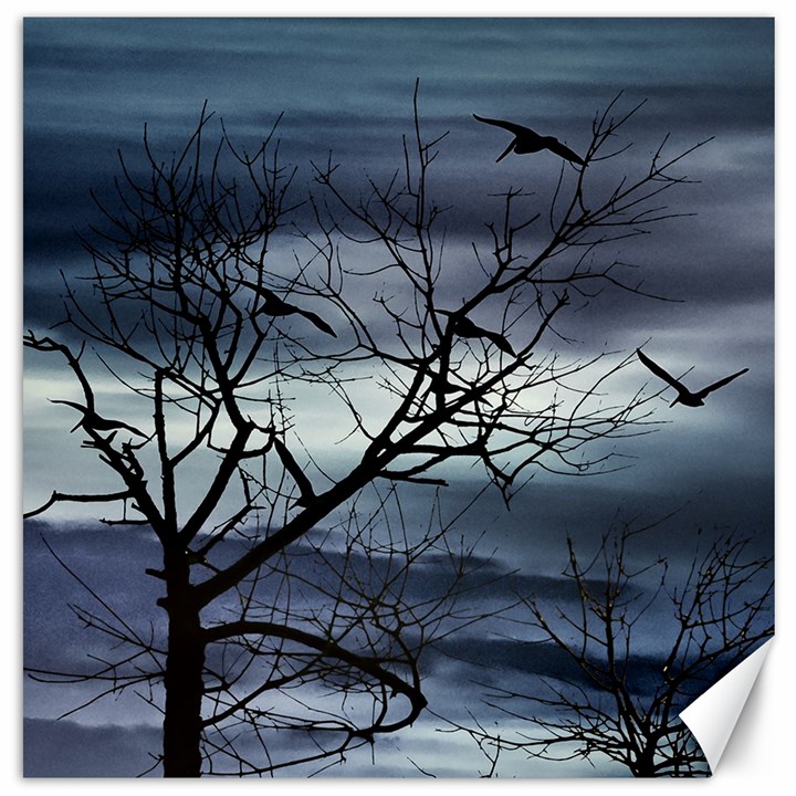 Night Nature Scene Photo Illustration Canvas 16  x 16 