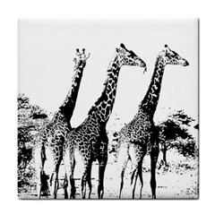 Giraffe  Tile Coasters by Valentinaart