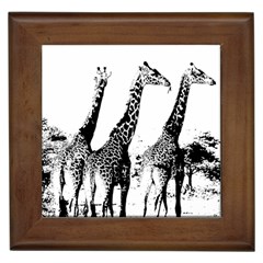 Giraffe  Framed Tiles by Valentinaart