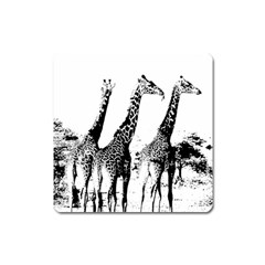 Giraffe  Square Magnet by Valentinaart