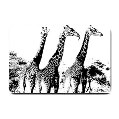 Giraffe  Small Doormat  by Valentinaart