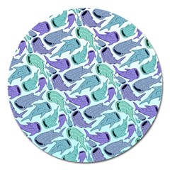 Whale Sharks Magnet 5  (round) by mbendigo