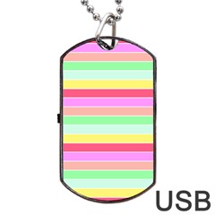 Pastel Rainbow Sorbet Horizontal Deck Chair Stripes Dog Tag Usb Flash (one Side) by PodArtist