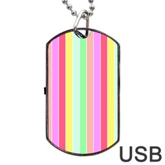 Pastel Rainbow Sorbet Deck Chair Stripes Dog Tag Usb Flash (two Sides) by PodArtist