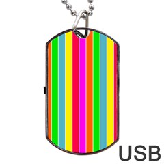 Neon Hawaiian Rainbow Deck Chair Stripes Dog Tag Usb Flash (one Side) by PodArtist