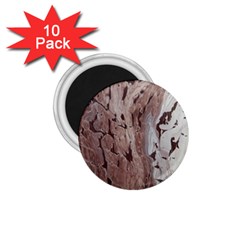 Bats 1 75  Magnets (10 Pack) 