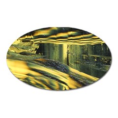 Yellow Dog Oval Magnet by WILLBIRDWELL