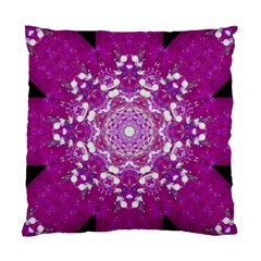 Wonderful Star Flower Painted On Canvas Standard Cushion Case (one Side) by pepitasart