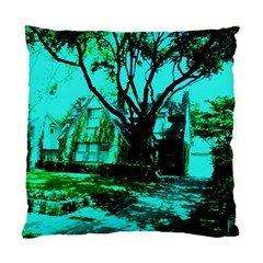 Hot Day In Dallas 50 Standard Cushion Case (one Side) by bestdesignintheworld