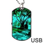 Hot Day In Dallas 50 Dog Tag USB Flash (Two Sides) Front