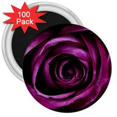 Plant Rose Flower Petals Nature 3  Magnets (100 Pack) by Sapixe