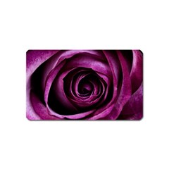 Plant Rose Flower Petals Nature Magnet (name Card) by Sapixe