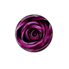 Plant Rose Flower Petals Nature Hat Clip Ball Marker (4 Pack) by Sapixe