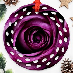 Plant Rose Flower Petals Nature Round Filigree Ornament (two Sides)