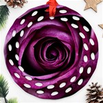 Plant Rose Flower Petals Nature Round Filigree Ornament (Two Sides) Front