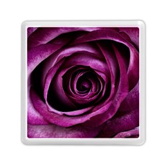 Plant Rose Flower Petals Nature Memory Card Reader (square) by Sapixe