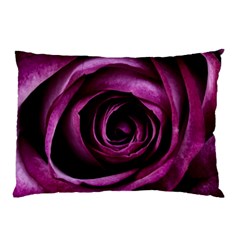 Plant Rose Flower Petals Nature Pillow Case (two Sides) by Sapixe