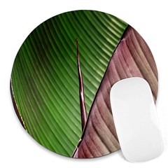 Leaf Banana Leaf Greenish Lines Round Mousepads by Sapixe