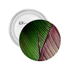 Leaf Banana Leaf Greenish Lines 2 25  Buttons by Sapixe