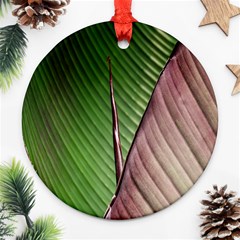 Leaf Banana Leaf Greenish Lines Ornament (round) by Sapixe