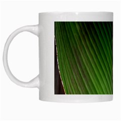 Leaf Banana Leaf Greenish Lines White Mugs by Sapixe