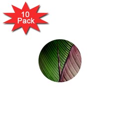 Leaf Banana Leaf Greenish Lines 1  Mini Buttons (10 Pack)  by Sapixe