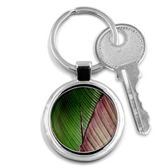 Leaf Banana Leaf Greenish Lines Key Chains (round)  by Sapixe