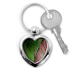 Leaf Banana Leaf Greenish Lines Key Chains (heart)  by Sapixe